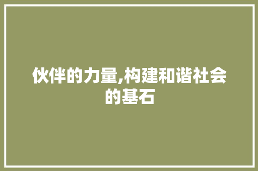 伙伴的力量,构建和谐社会的基石