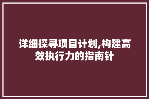 详细探寻项目计划,构建高效执行力的指南针