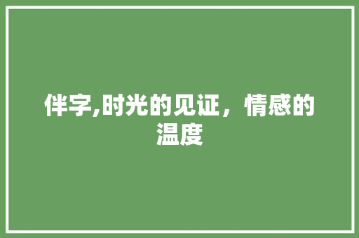 伴字,时光的见证，情感的温度