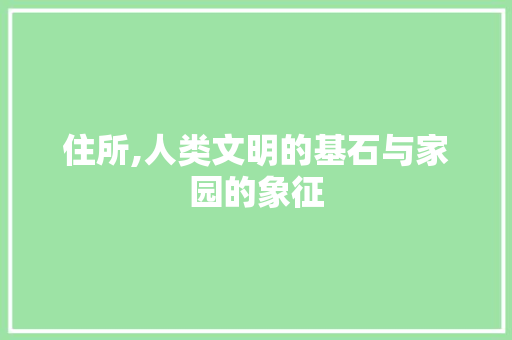 住所,人类文明的基石与家园的象征