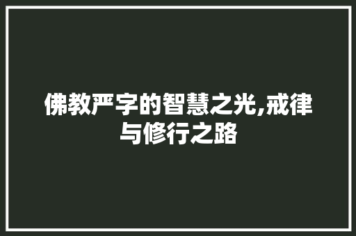 佛教严字的智慧之光,戒律与修行之路
