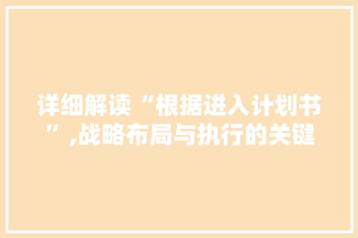 详细解读“根据进入计划书”,战略布局与执行的关键