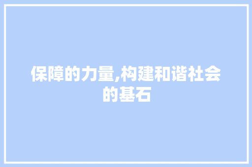 保障的力量,构建和谐社会的基石