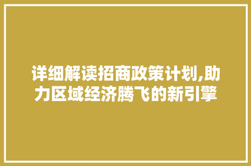 详细解读招商政策计划,助力区域经济腾飞的新引擎 古代典籍