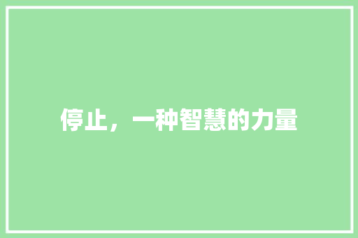 停止，一种智慧的力量 诗词佳句