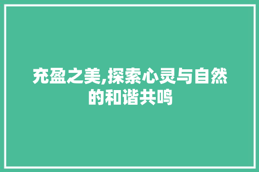 充盈之美,探索心灵与自然的和谐共鸣