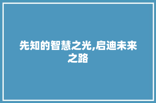 先知的智慧之光,启迪未来之路