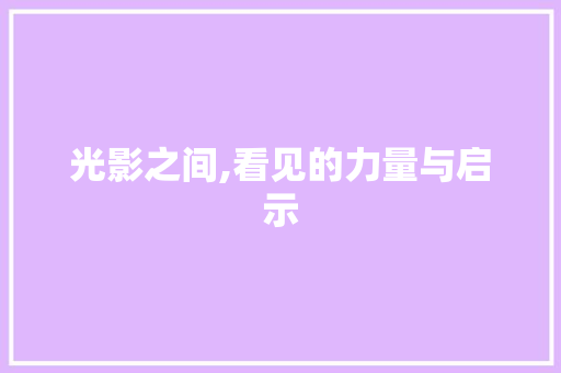 光影之间,看见的力量与启示
