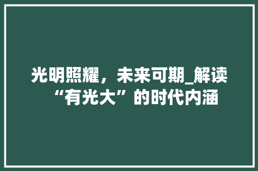 光明照耀，未来可期_解读“有光大”的时代内涵