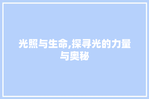 光照与生命,探寻光的力量与奥秘 近义词汇