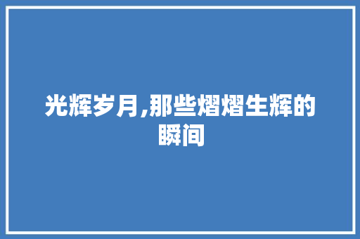 光辉岁月,那些熠熠生辉的瞬间 近义词汇