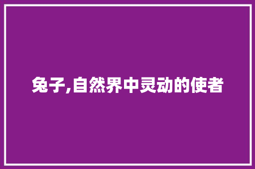 兔子,自然界中灵动的使者