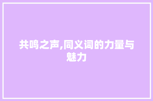 共鸣之声,同义词的力量与魅力