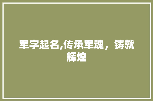 军字起名,传承军魂，铸就辉煌