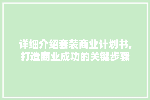 详细介绍套装商业计划书,打造商业成功的关键步骤
