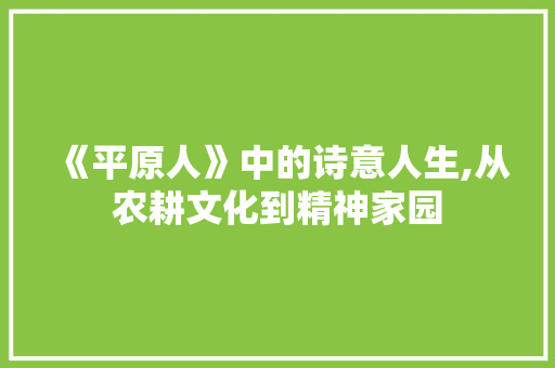 《平原人》中的诗意人生,从农耕文化到精神家园
