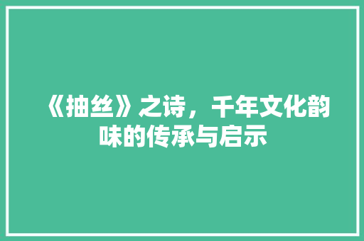 《抽丝》之诗，千年文化韵味的传承与启示
