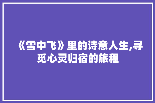 《雪中飞》里的诗意人生,寻觅心灵归宿的旅程
