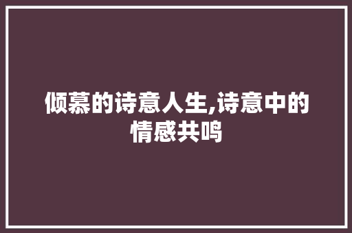 倾慕的诗意人生,诗意中的情感共鸣