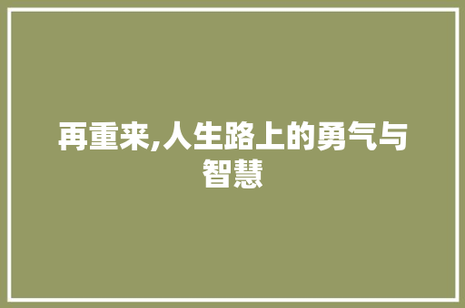 再重来,人生路上的勇气与智慧