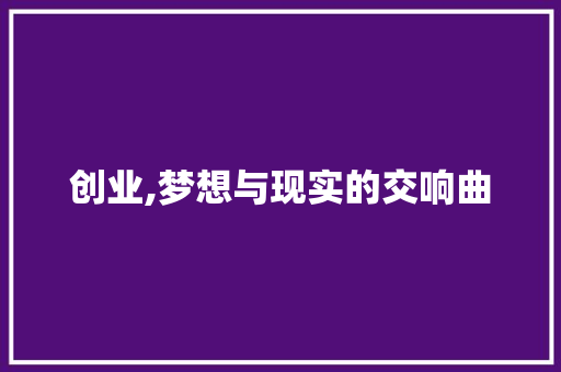 创业,梦想与现实的交响曲