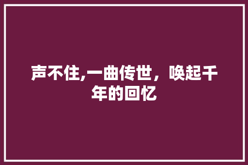声不住,一曲传世，唤起千年的回忆