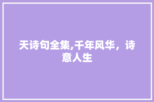 天诗句全集,千年风华，诗意人生