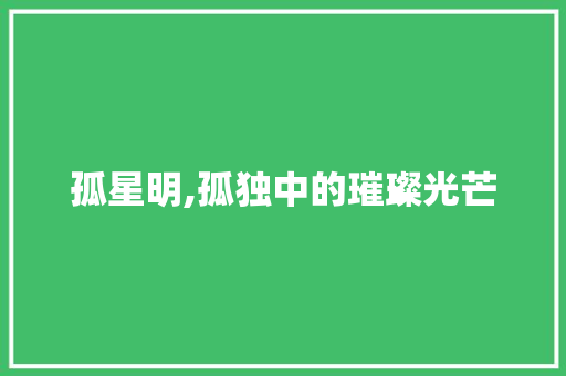 孤星明,孤独中的璀璨光芒