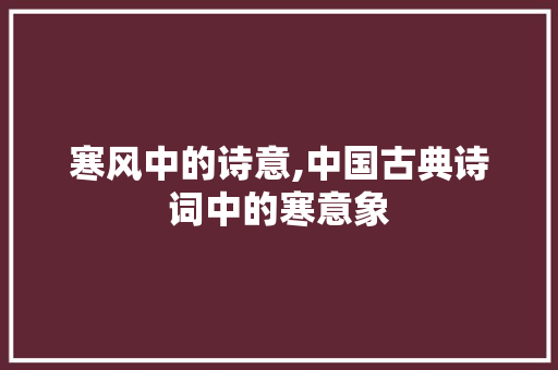 寒风中的诗意,中国古典诗词中的寒意象