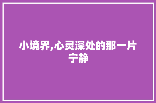 小境界,心灵深处的那一片宁静
