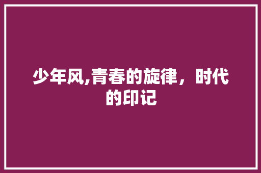 少年风,青春的旋律，时代的印记