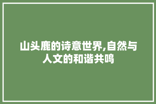 山头鹿的诗意世界,自然与人文的和谐共鸣