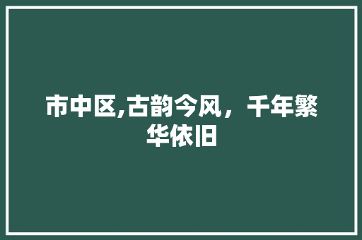市中区,古韵今风，千年繁华依旧
