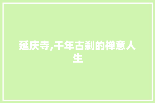延庆寺,千年古刹的禅意人生 问答