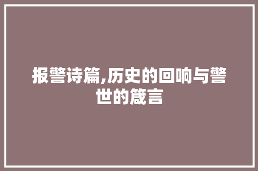 报警诗篇,历史的回响与警世的箴言