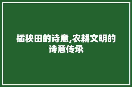 插秧田的诗意,农耕文明的诗意传承