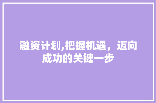 融资计划,把握机遇，迈向成功的关键一步