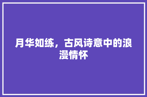 月华如练，古风诗意中的浪漫情怀