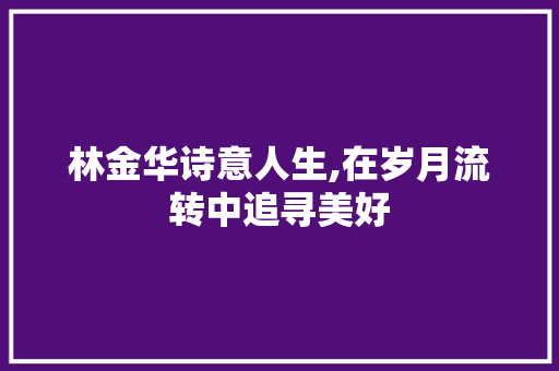 林金华诗意人生,在岁月流转中追寻美好