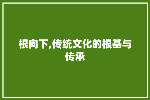 根向下,传统文化的根基与传承