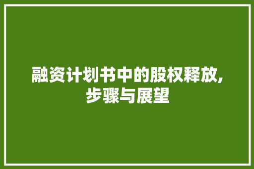融资计划书中的股权释放,步骤与展望