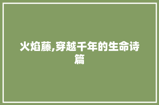 火焰藤,穿越千年的生命诗篇