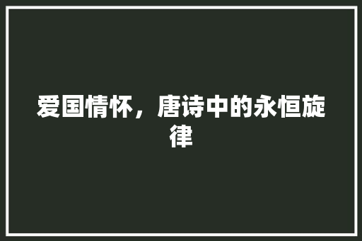 爱国情怀，唐诗中的永恒旋律