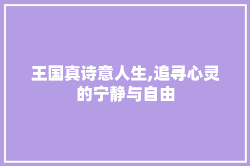 王国真诗意人生,追寻心灵的宁静与自由