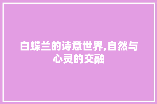 白蝶兰的诗意世界,自然与心灵的交融