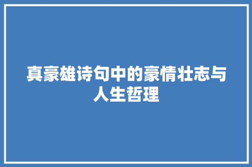真豪雄诗句中的豪情壮志与人生哲理