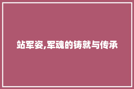 站军姿,军魂的铸就与传承
