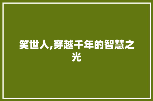 笑世人,穿越千年的智慧之光