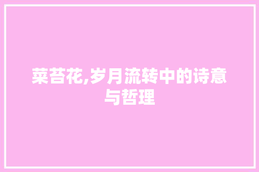 菜苔花,岁月流转中的诗意与哲理