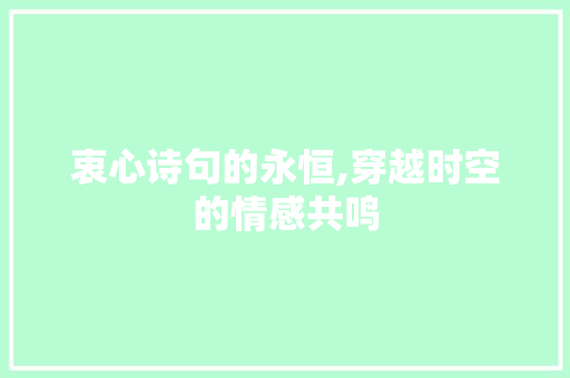 衷心诗句的永恒,穿越时空的情感共鸣
